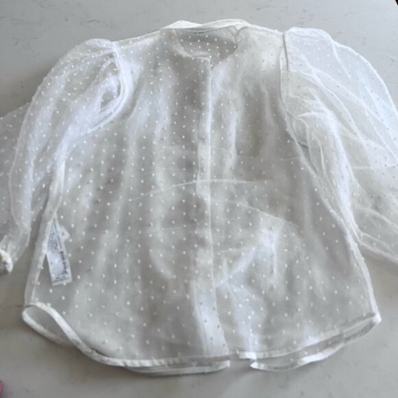 Zara White Organza Puff Sleeve Polka Swiss Dot Semi Sheer Blouse XS - Picture 14 of 14